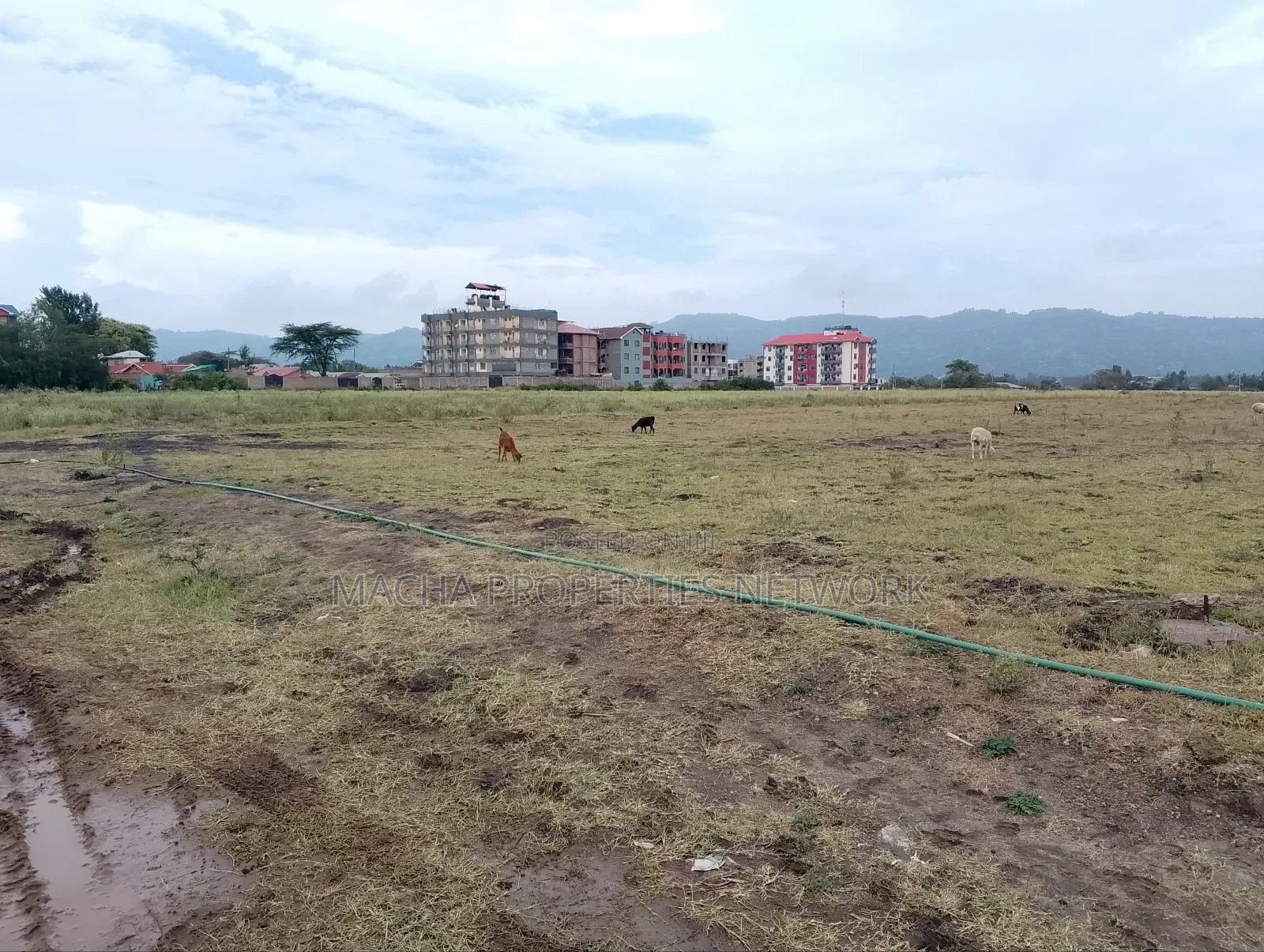 Machakos -Kenya Israel Plot 1/4 in Machakos Town