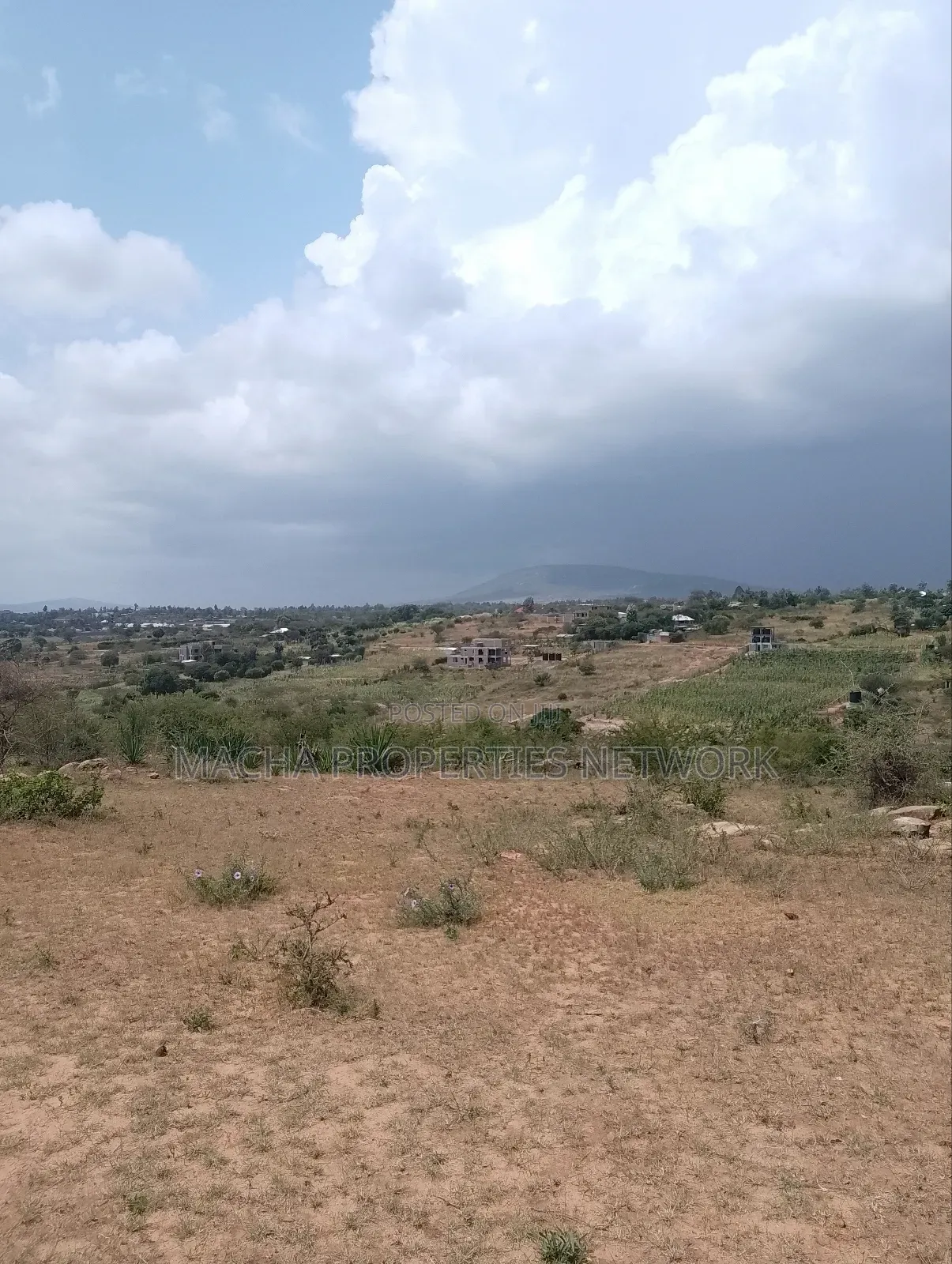 Machakos 50 by 100ft Quick Sale in Machakos Town