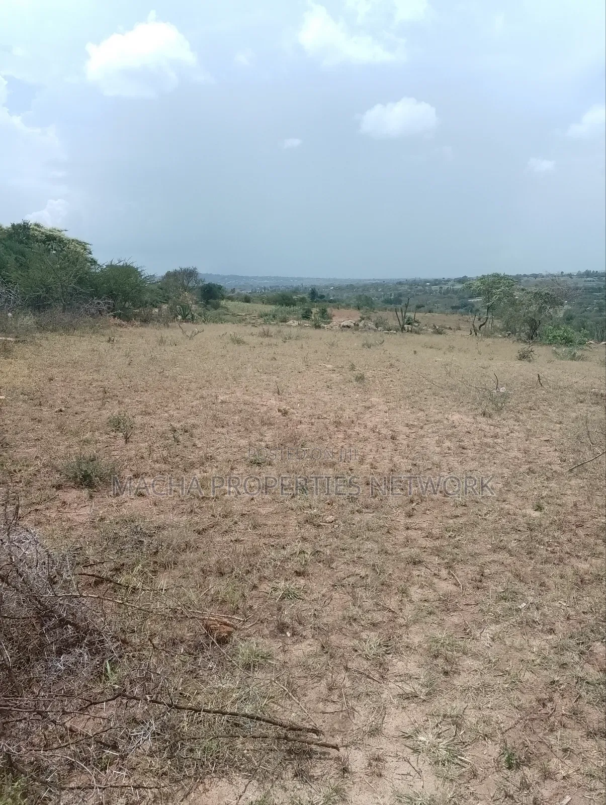 Machakos 50 by 100ft Quick Sale in Machakos Town