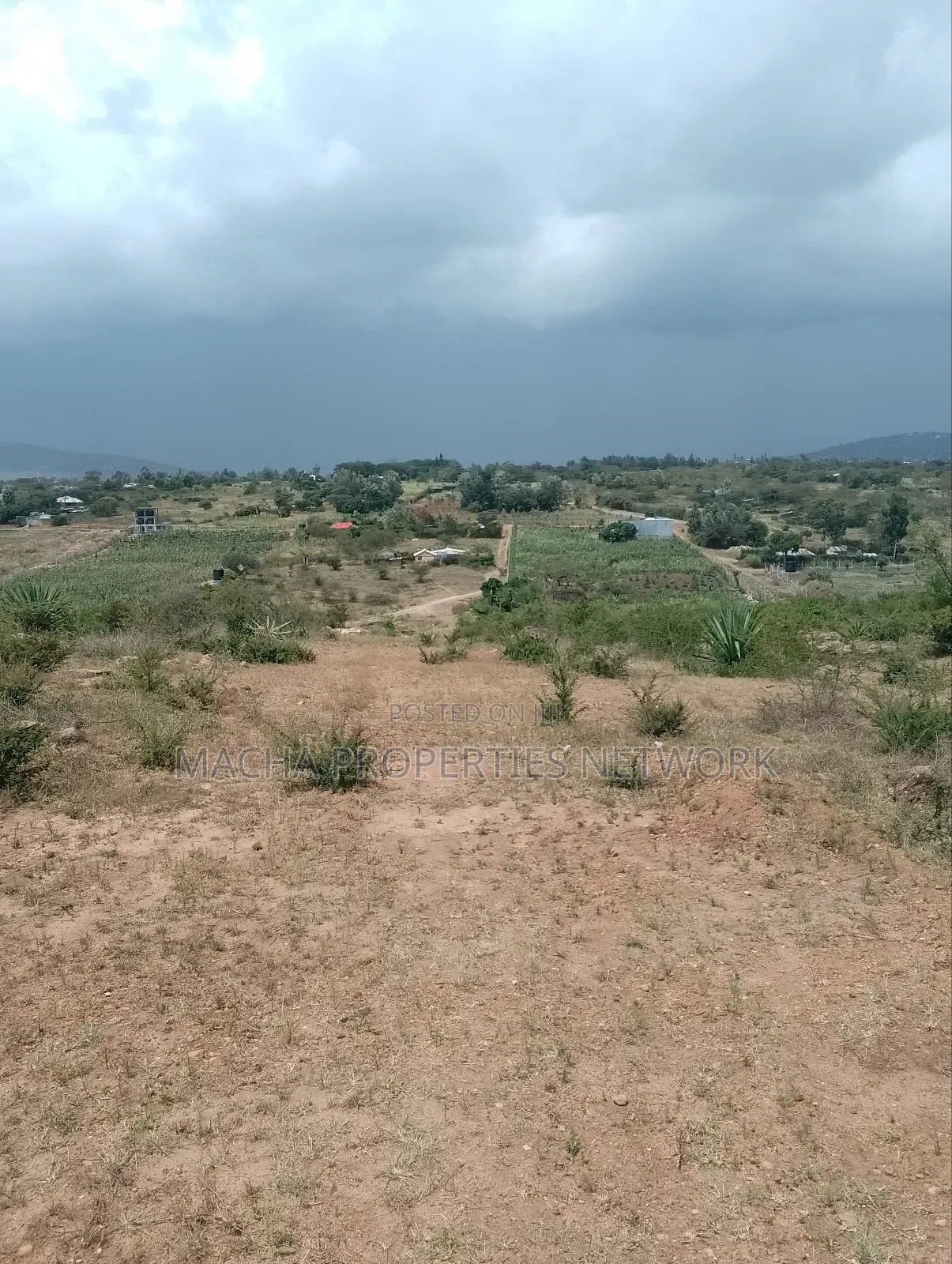 Machakos 50 by 100ft Quick Sale in Machakos Town