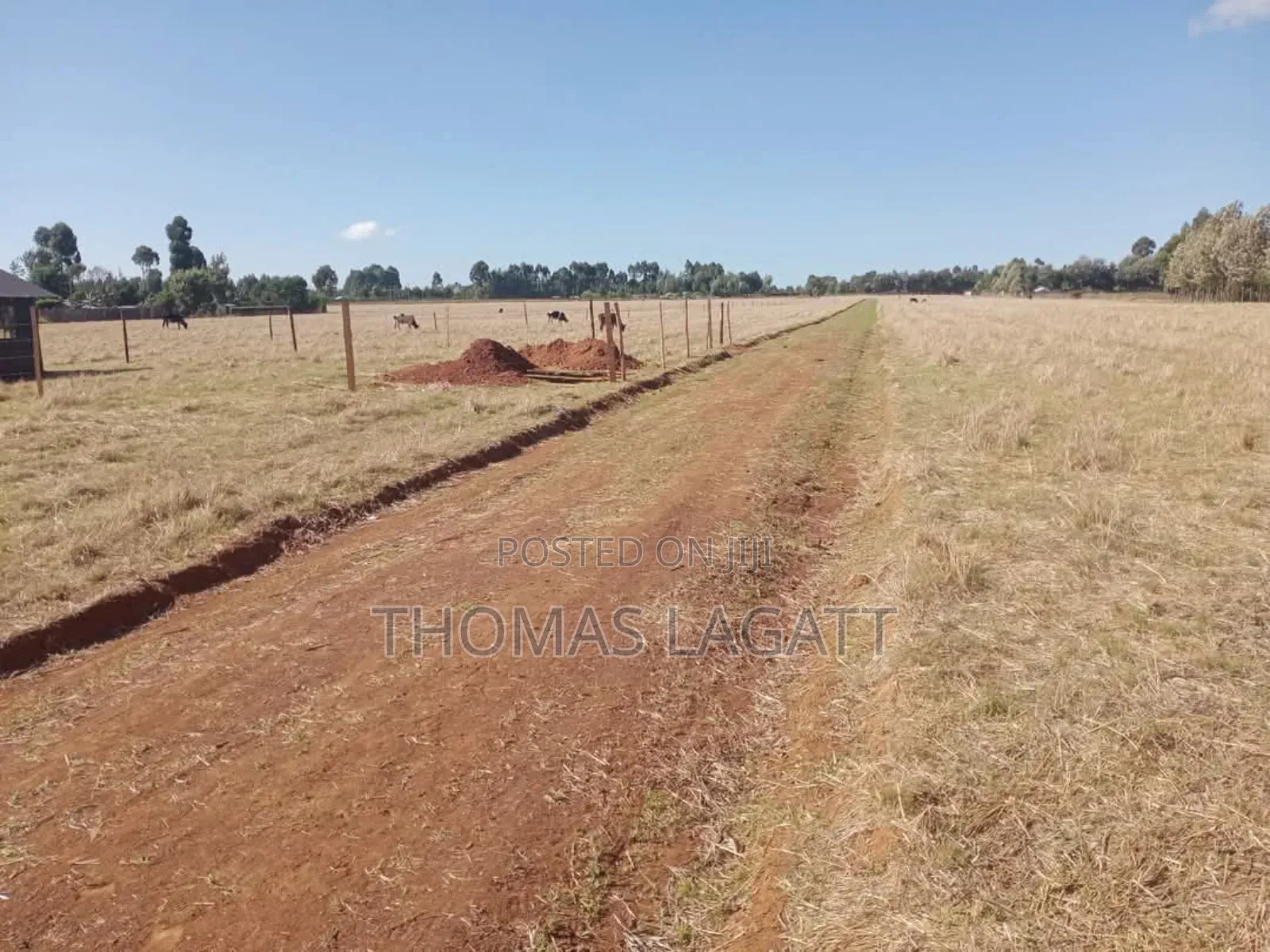 Eldoret Sogomo Residential Plots on Sale in Kapsuswa