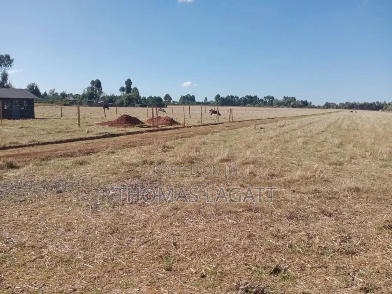 Eldoret Sogomo Residential Plots on Sale in Kapsuswa