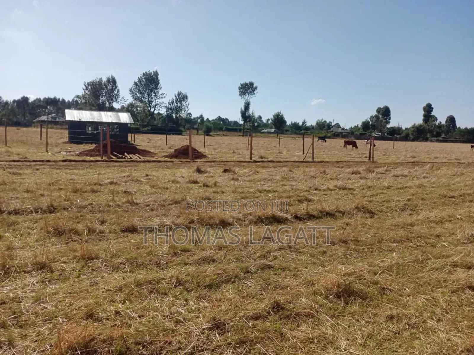 Eldoret Sogomo Residential Plots on Sale in Kapsuswa