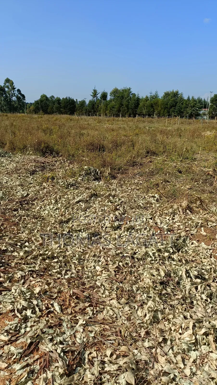 Eldoret Sogomo Residential Plots on Sale in Kapsuswa