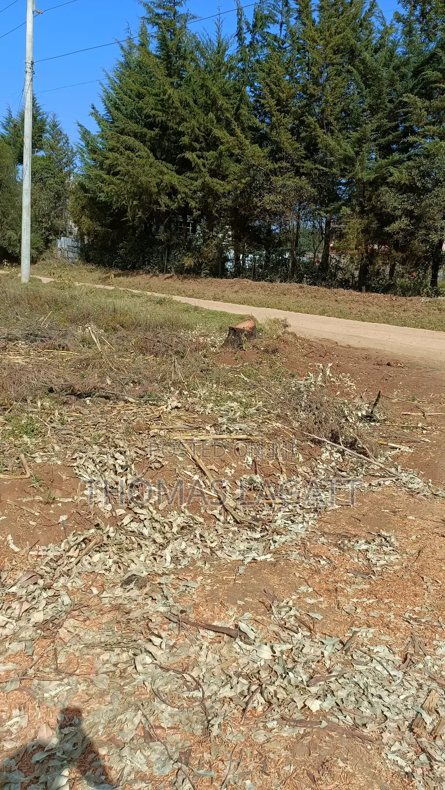Eldoret Sogomo Residential Plots on Sale in Kapsuswa