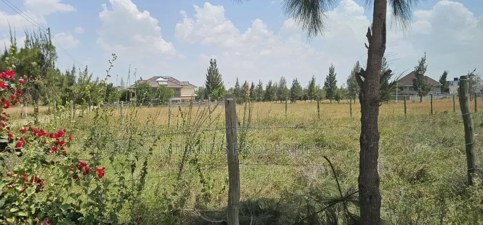 Kitengela's Celebration Gardens: 50*100 Plots for Sale - Invest Today in Kitengela