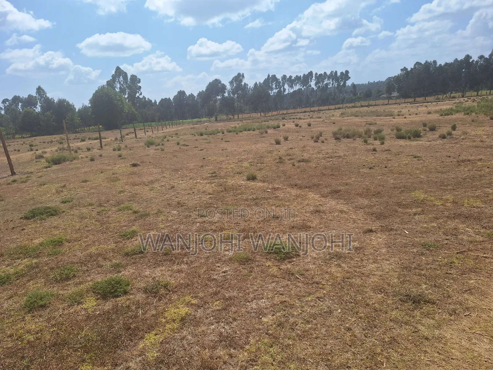 Very Prime Plots in Leshau Nyandarua County in Leshau Pondo