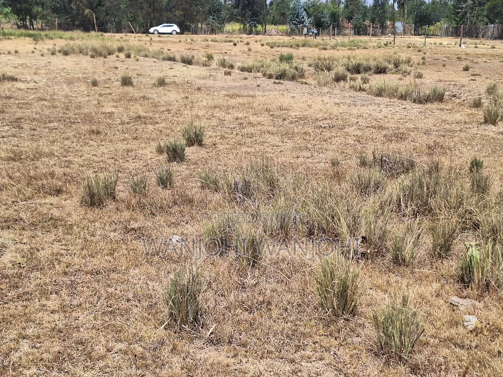 Very Prime Plots in Leshau Nyandarua County in Leshau Pondo