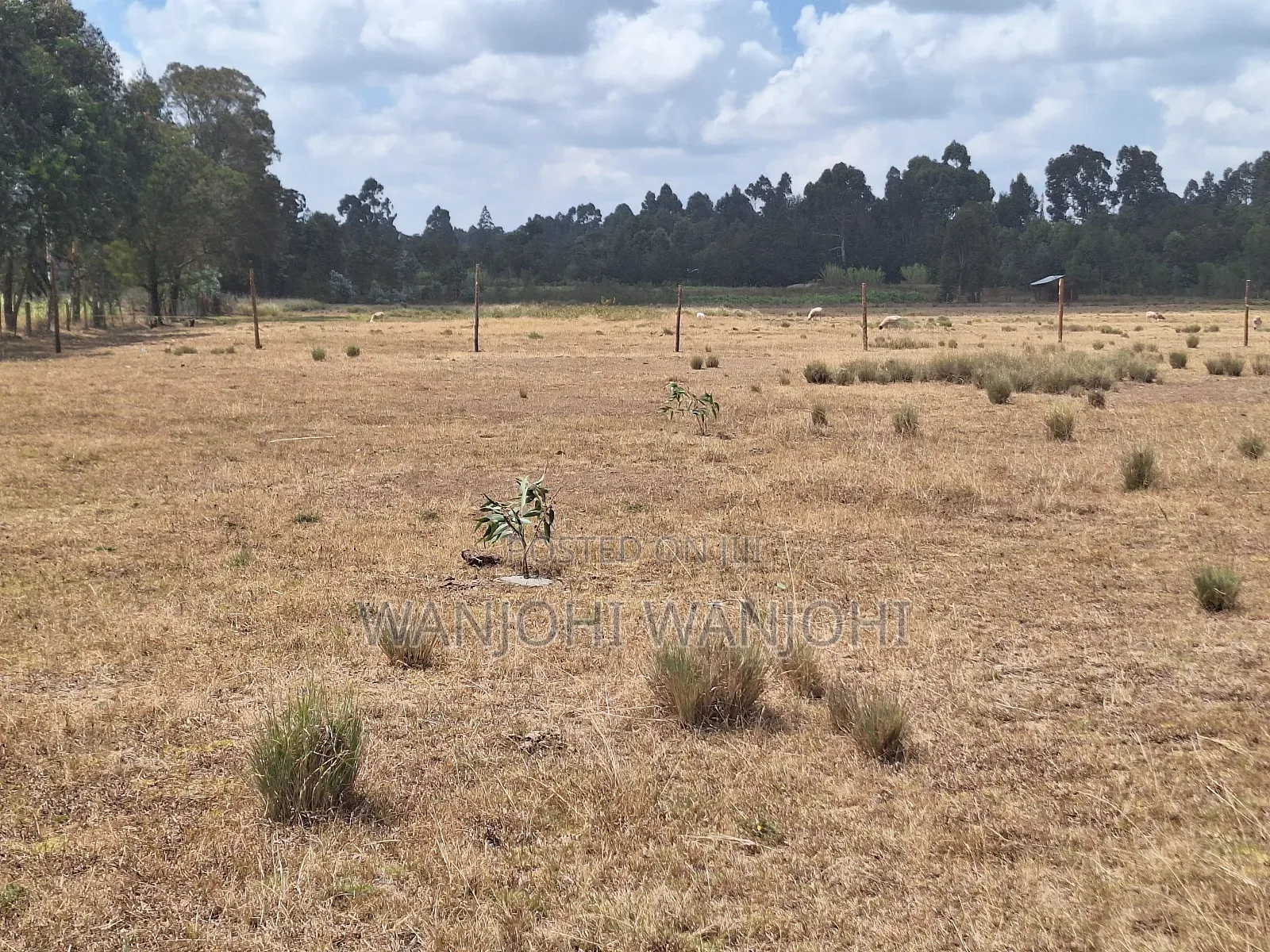 Very Prime Plots in Leshau Nyandarua County in Leshau Pondo