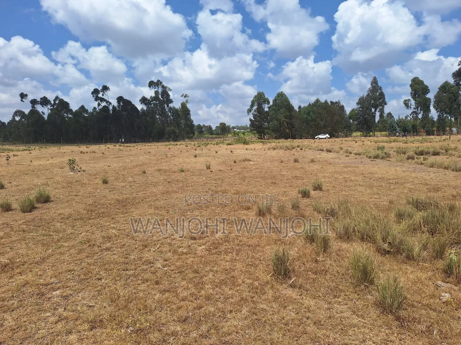Very Prime Plots in Leshau Nyandarua County in Leshau Pondo