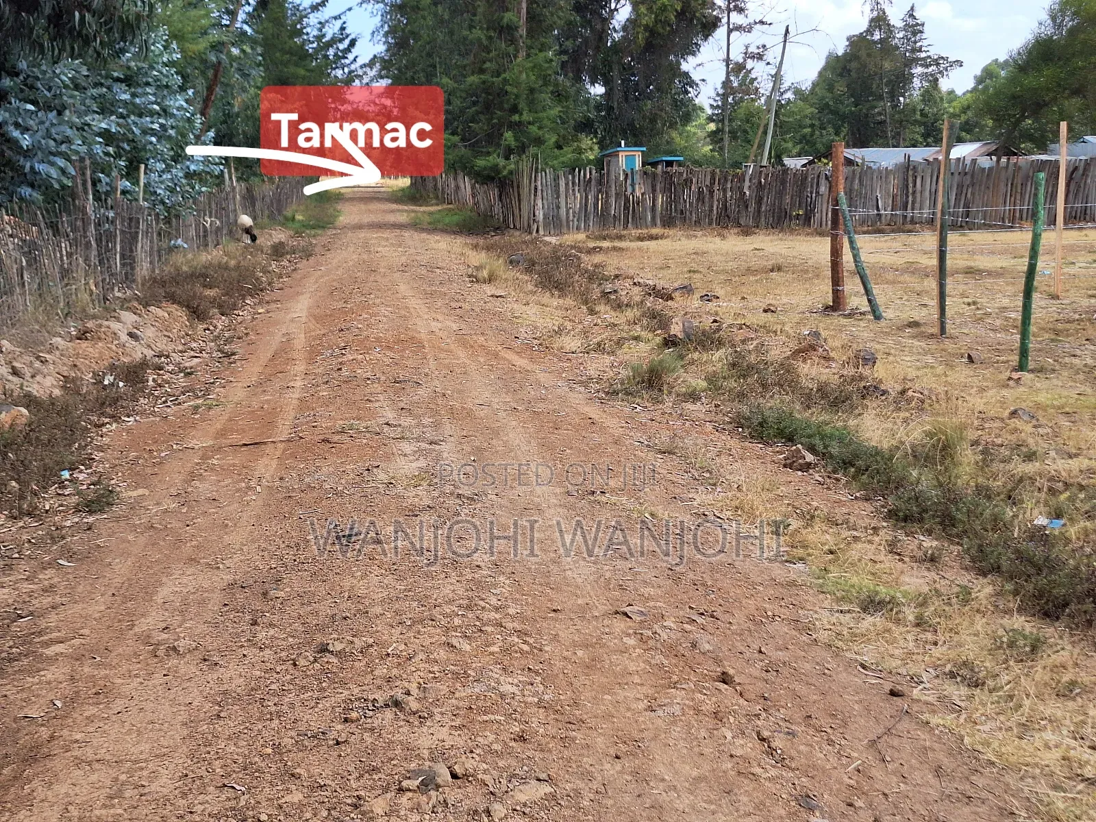 Very Prime Plots in Leshau Nyandarua County in Leshau Pondo