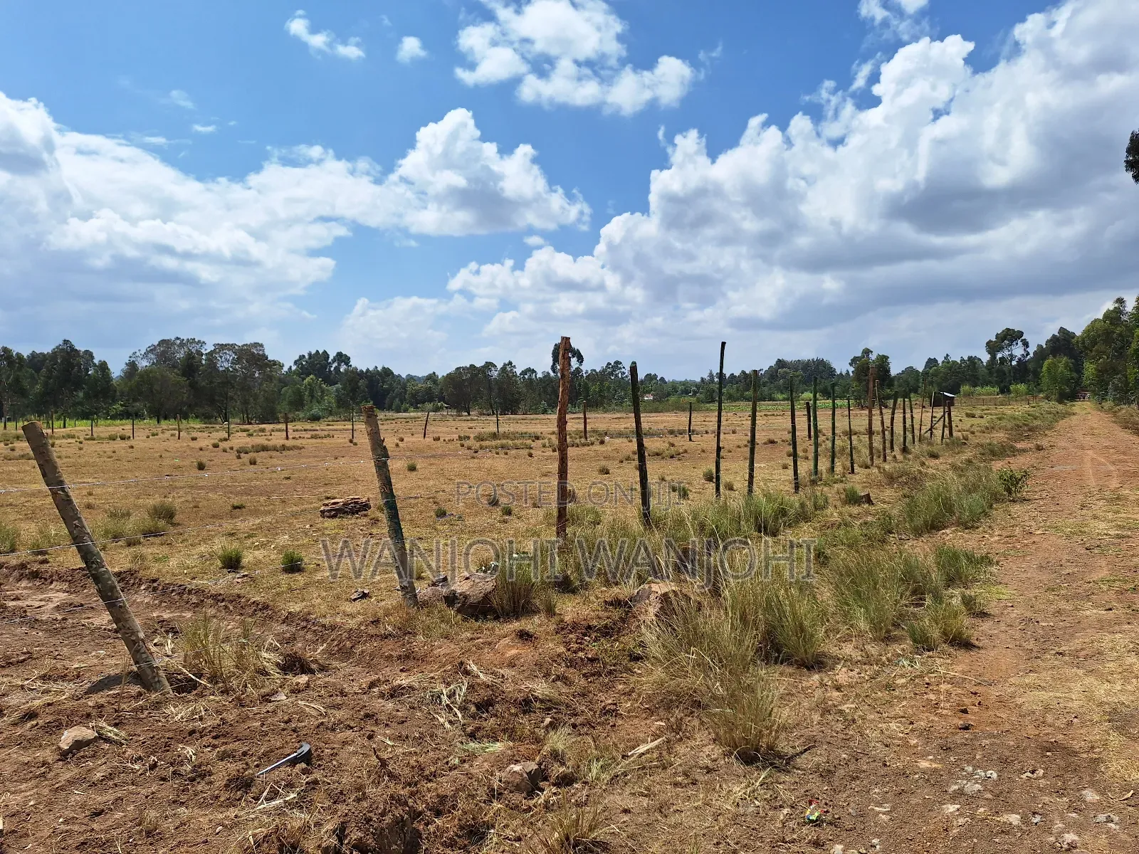 Magnificent Properties in Gatimu