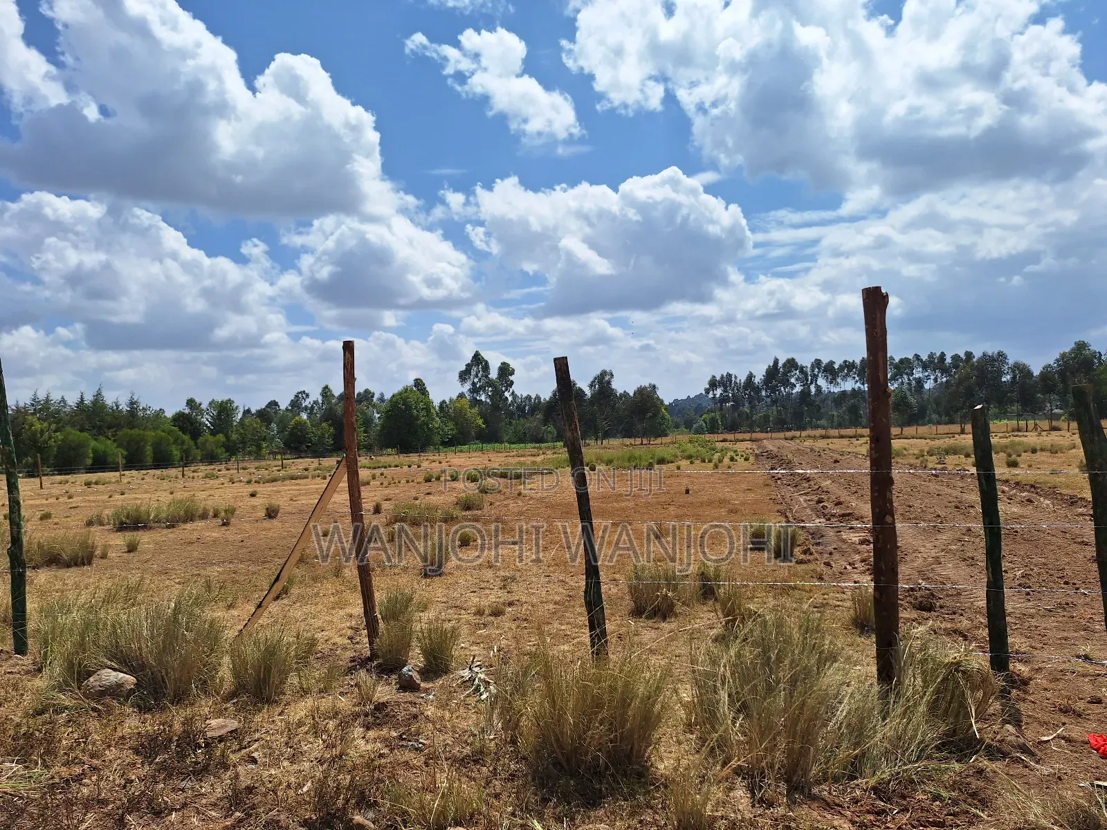 Magnificent Properties in Gatimu