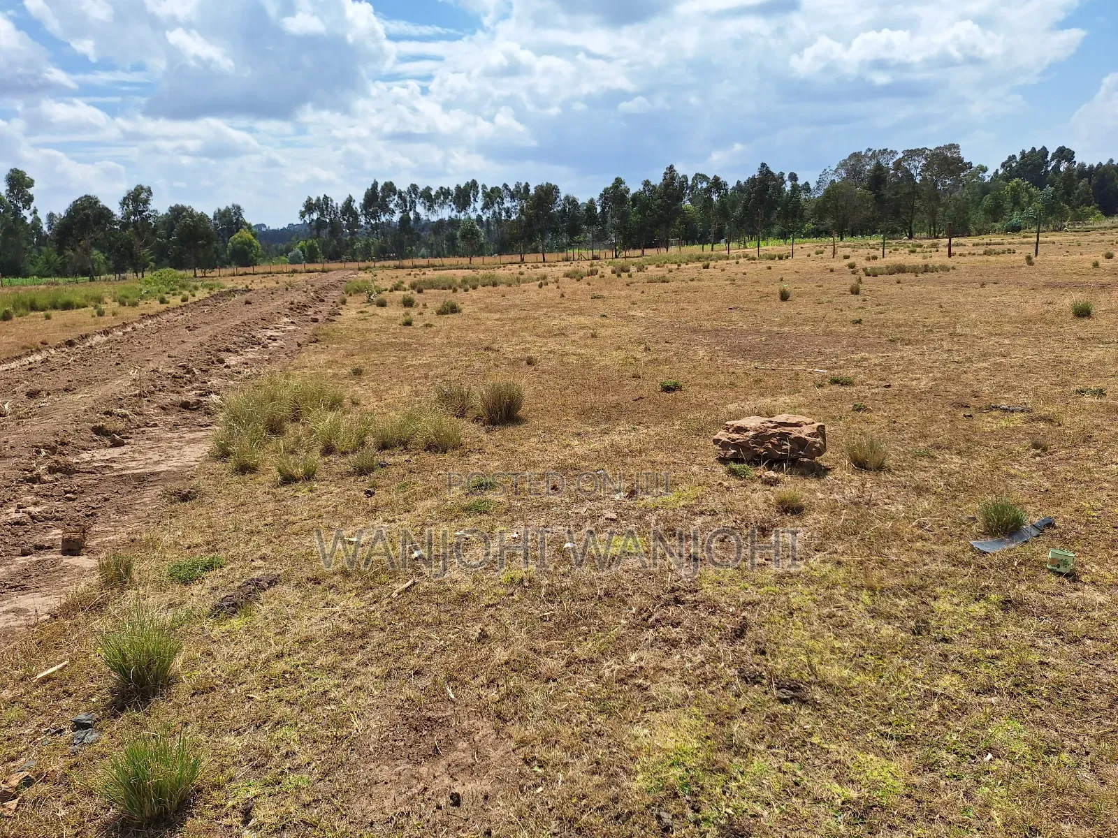 Magnificent Properties in Gatimu