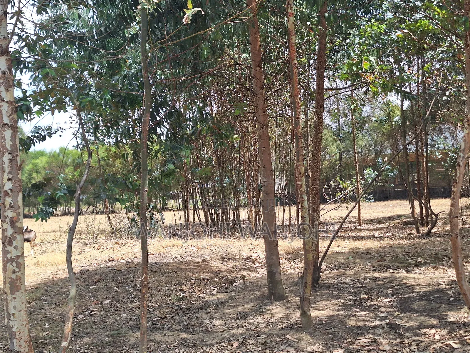 1/8 Acre Supreme Plots at Kasuku in Weru