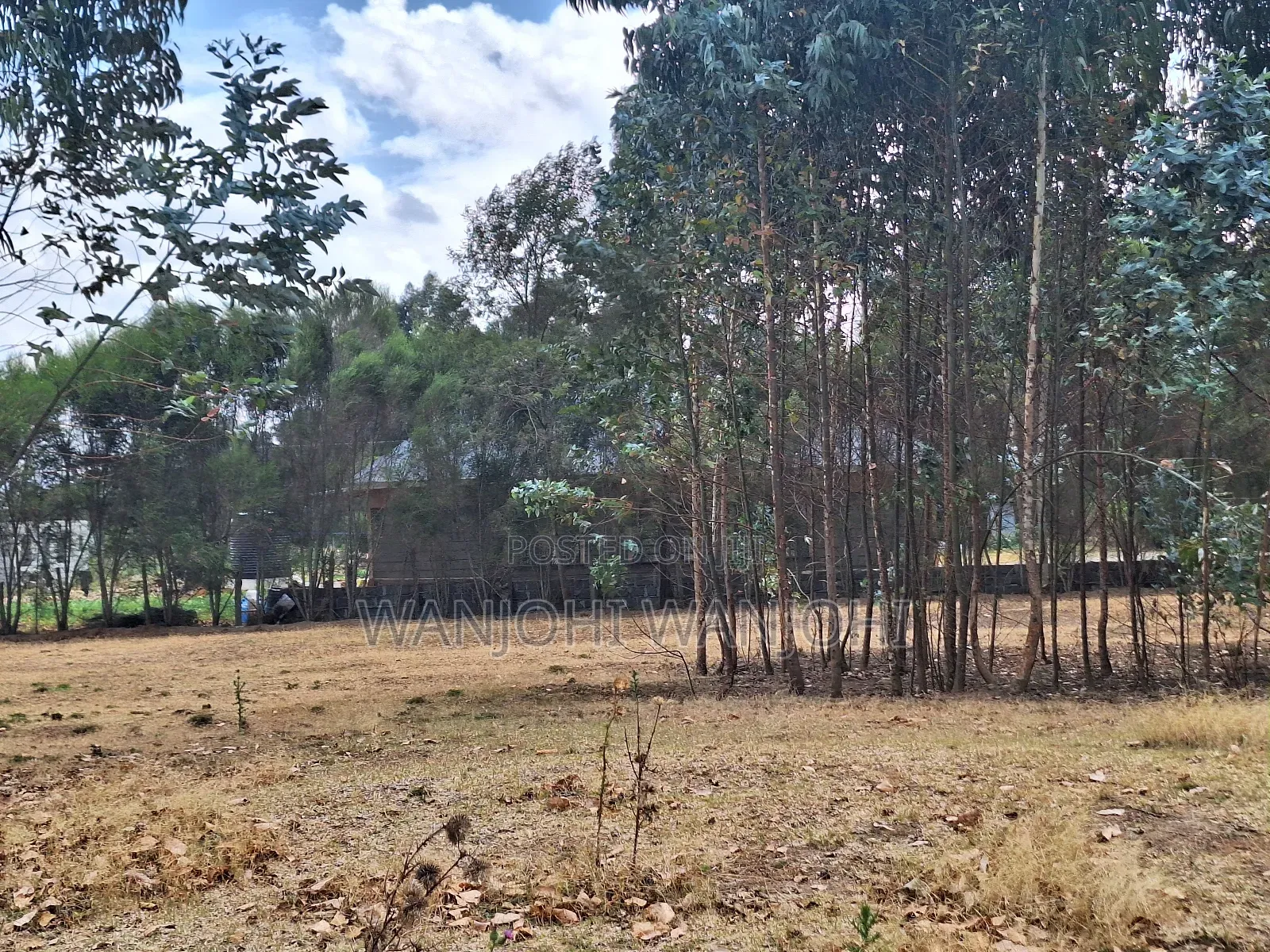 High-Grade Eighth Acre Plots at Kasuku in Karau