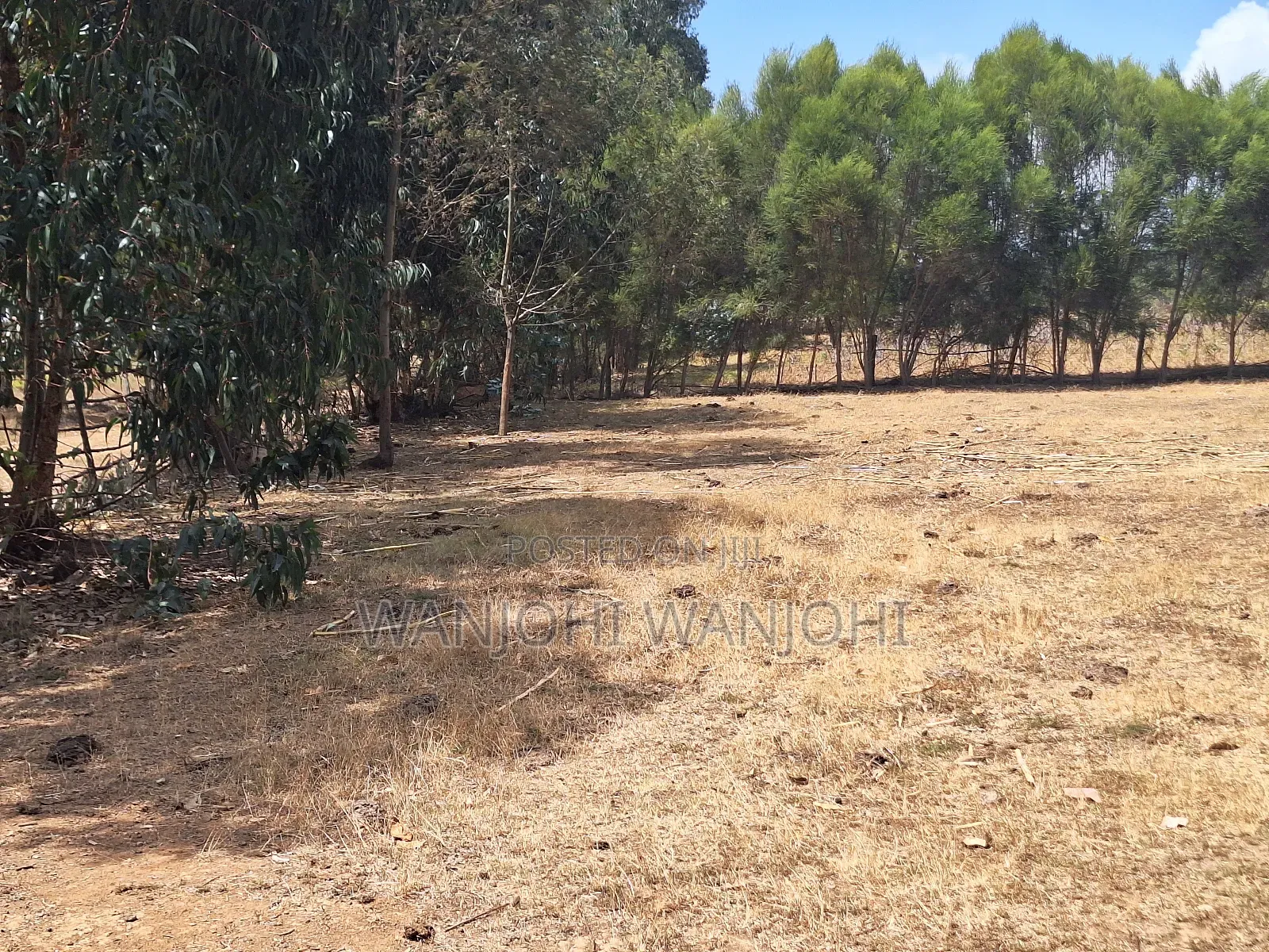 High-Grade Eighth Acre Plots at Kasuku in Karau