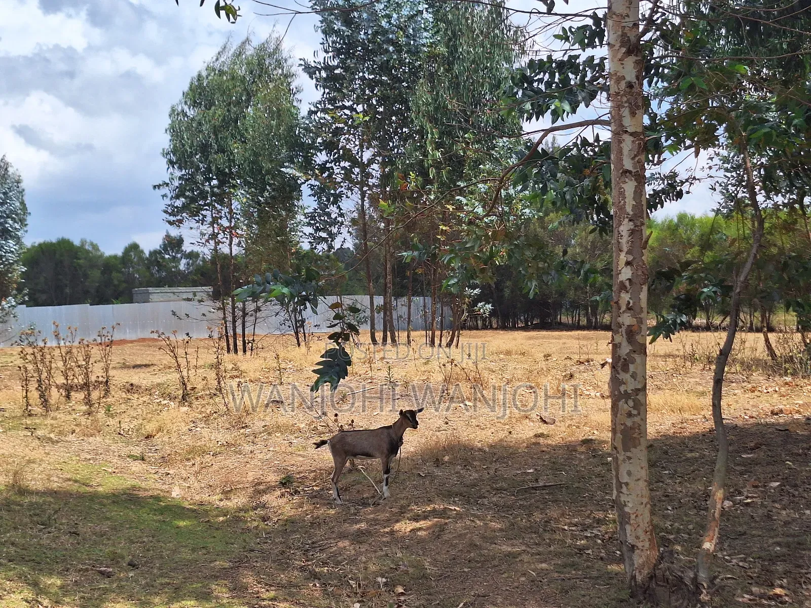 Superior Ready - To Build Plots in Gatimu