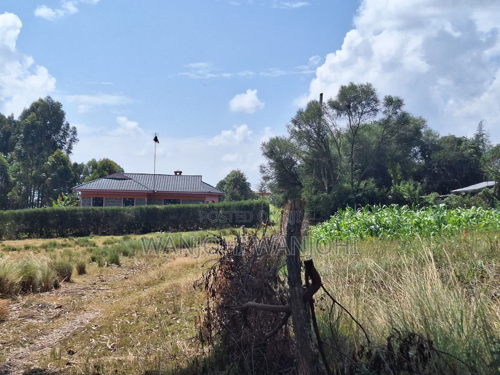 Nyakua Ploti Na Discount in Karau