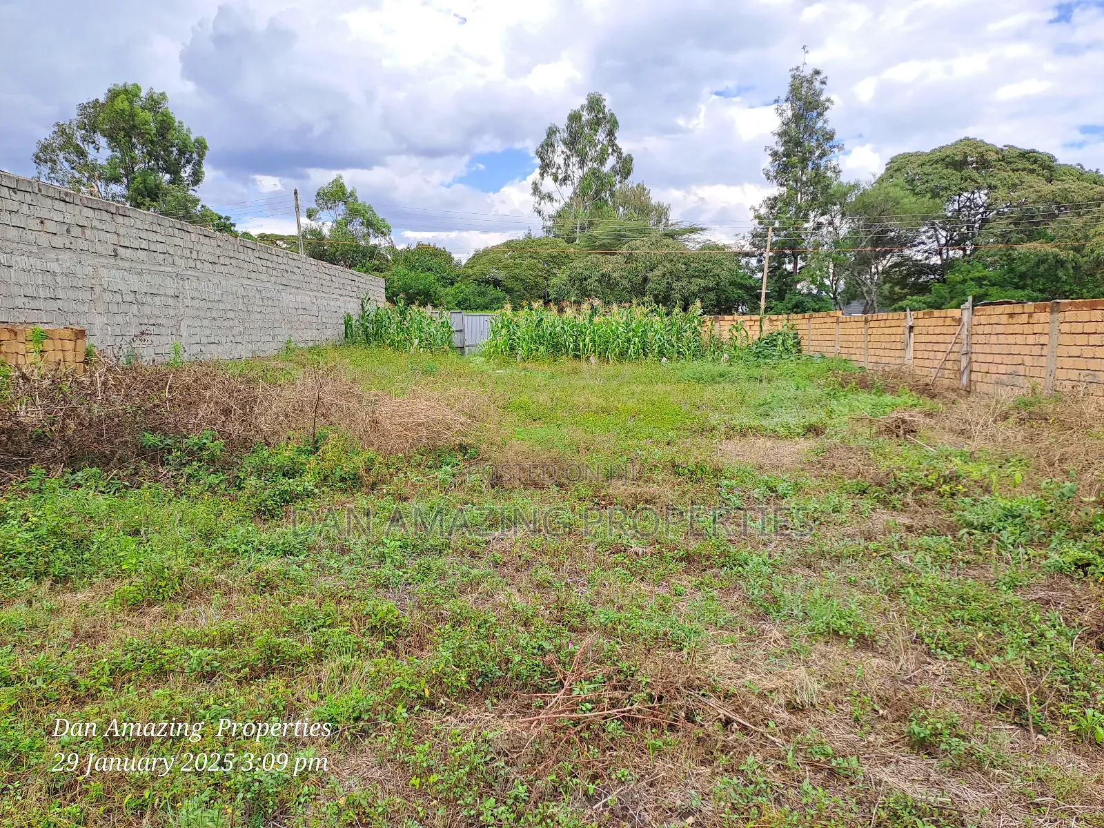 Bigger 1/4 Acre Fenced With Perimeter Wall for Sale in Rimpa in Rimpa