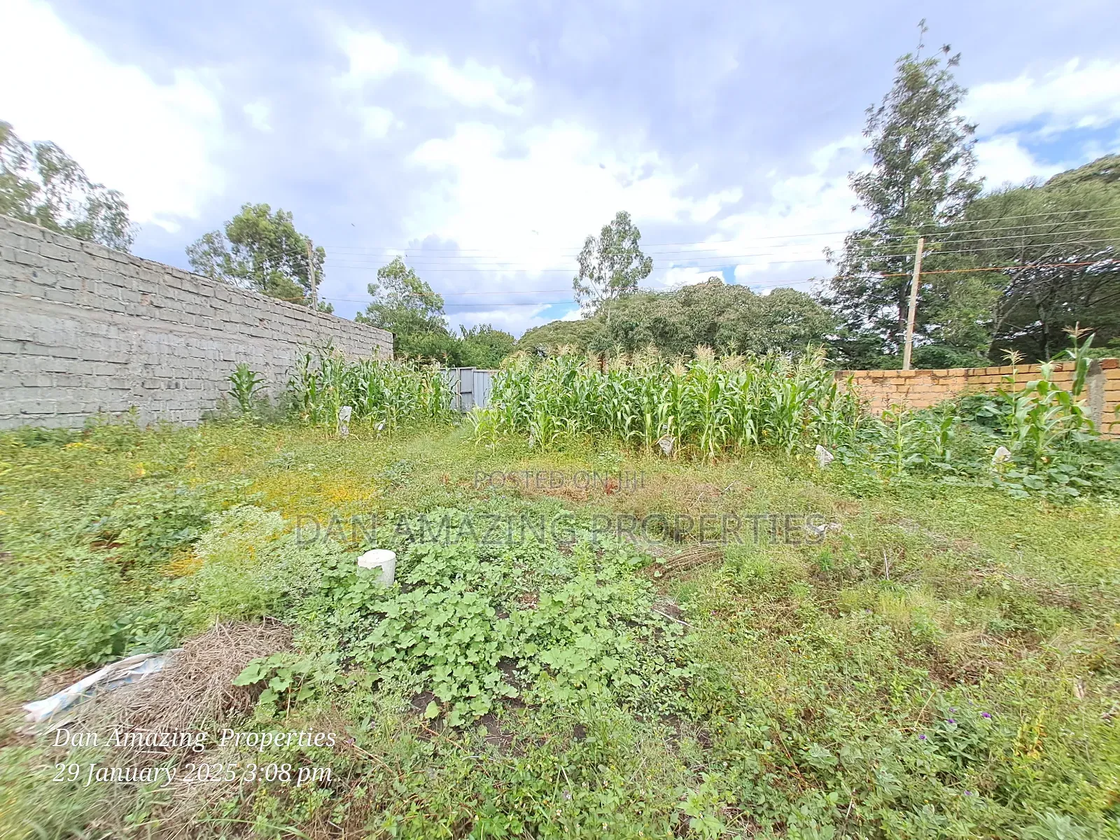 Bigger 1/4 Acre Fenced With Perimeter Wall for Sale in Rimpa in Rimpa