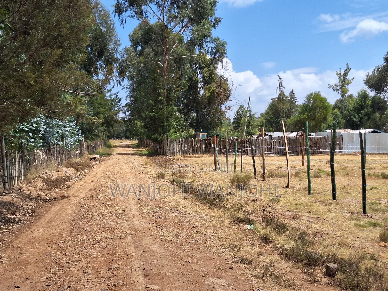 Buy Build Prime Plots in Central Ndaragwa