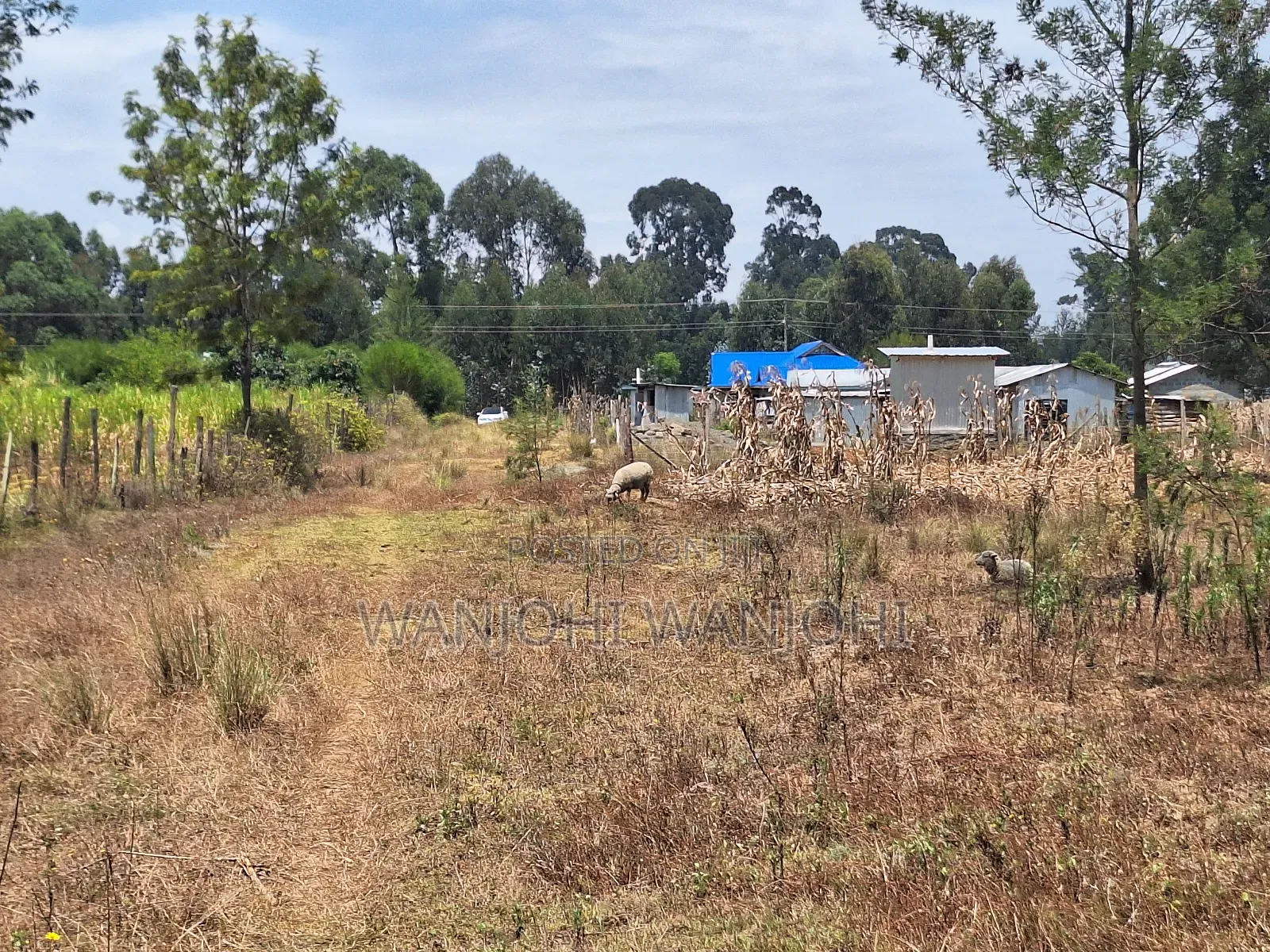 Secure Top Tier Oljoroork Plots in Karau