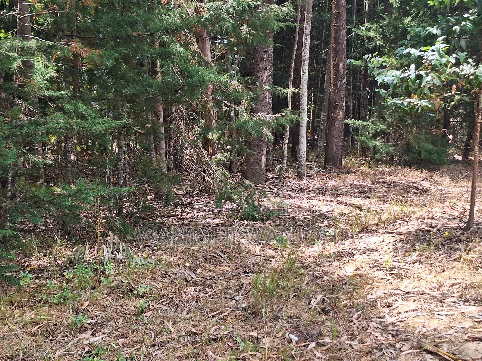 Secure Top Tier Oljoroork Plots in Karau