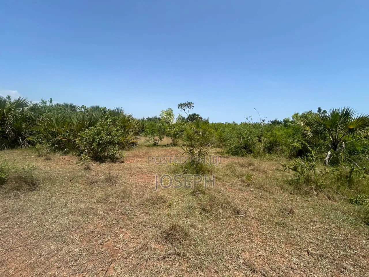 Diani 6.5acres in Diani