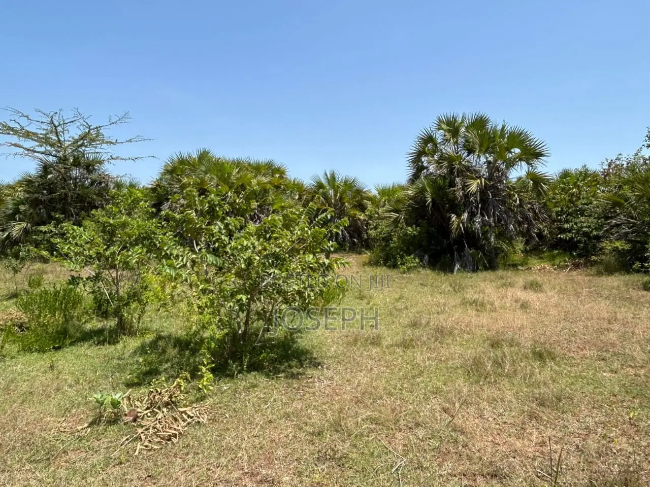 Diani 6.5acres in Diani
