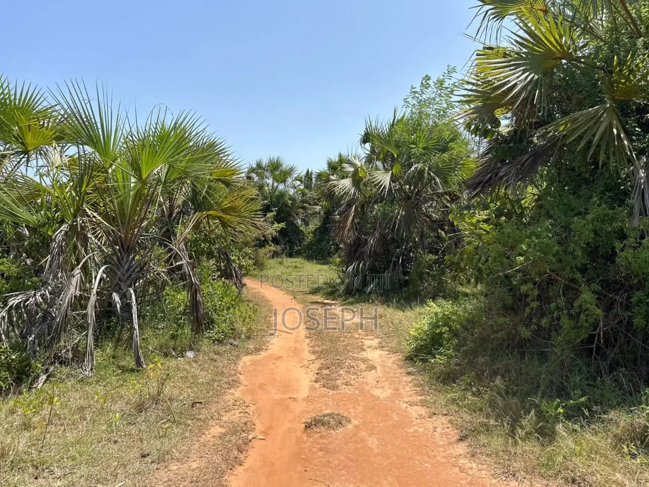 Diani 6.5acres in Diani