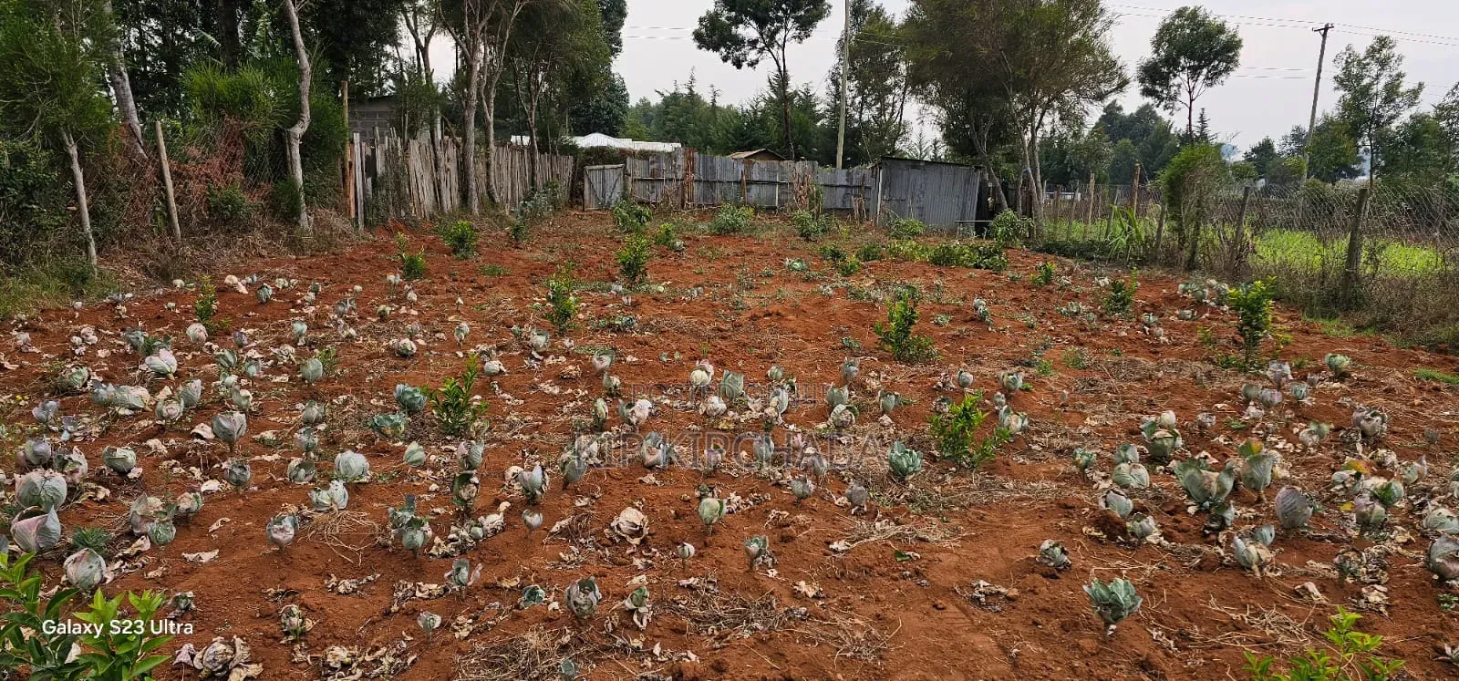 1⁄4 Plot for Sale in Annex Saroyot in Eldoret in Racecourse