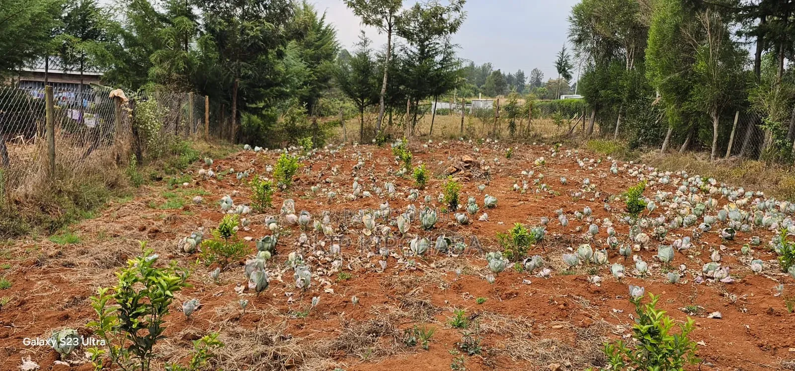 1⁄4 Plot for Sale in Annex Saroyot in Eldoret in Racecourse