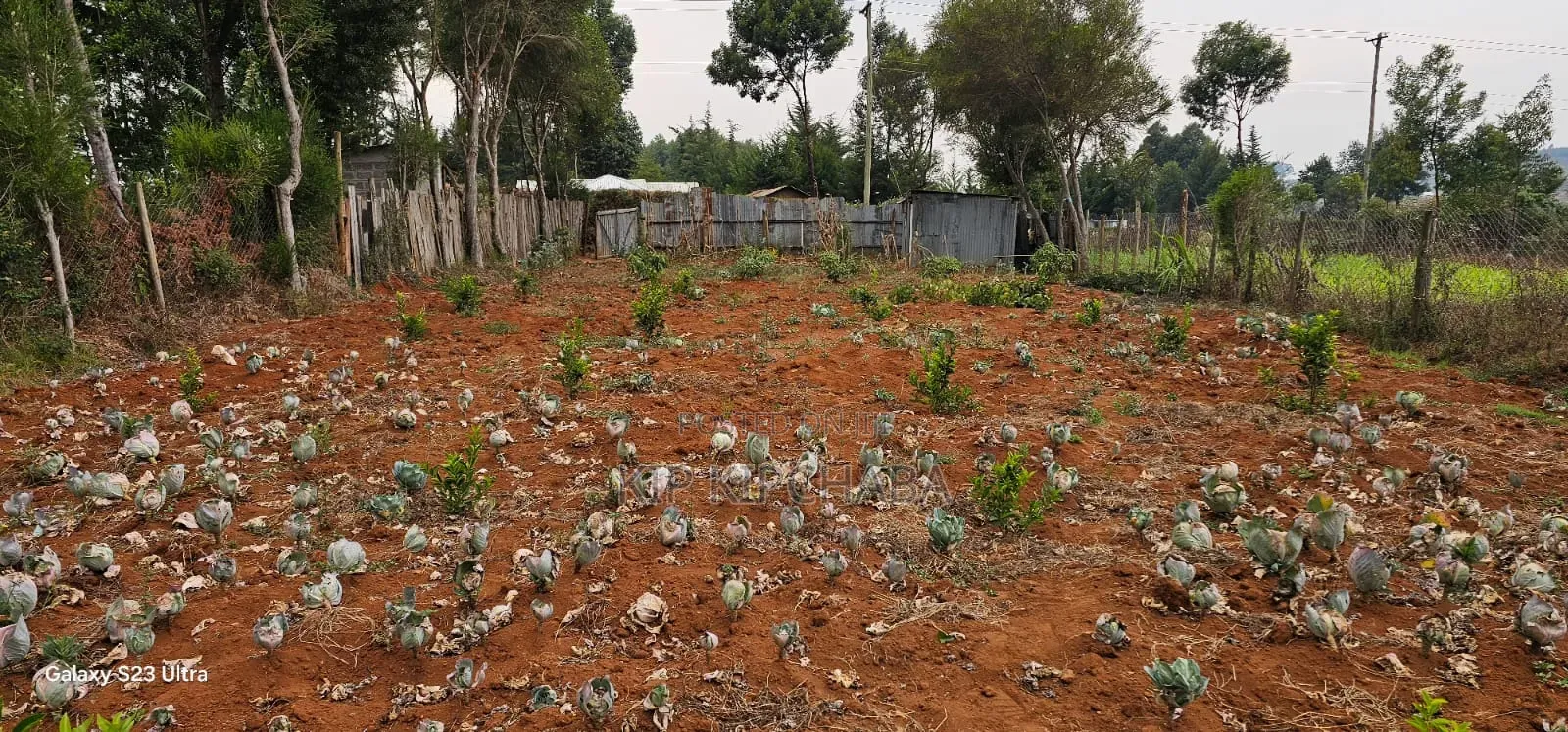 1⁄4 Plot for Sale in Annex Saroyot in Eldoret in Racecourse