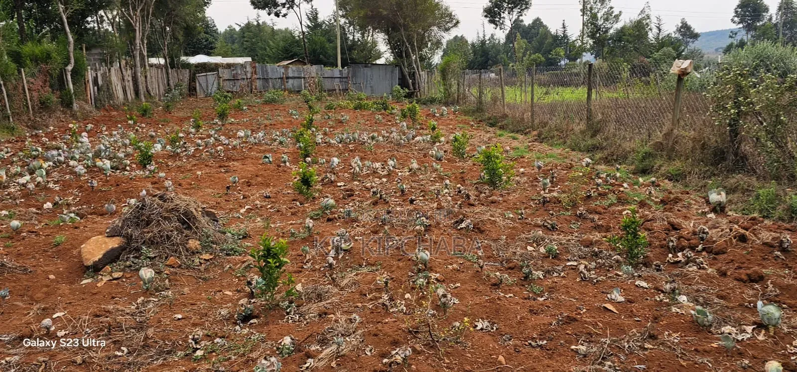 1⁄4 Plot for Sale in Annex Saroyot in Eldoret in Racecourse