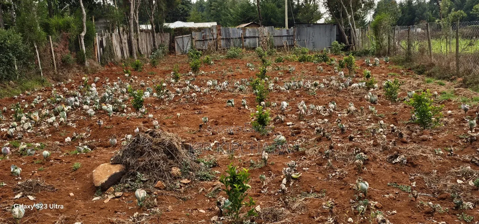 1⁄4 Plot for Sale in Annex Saroyot in Eldoret in Racecourse