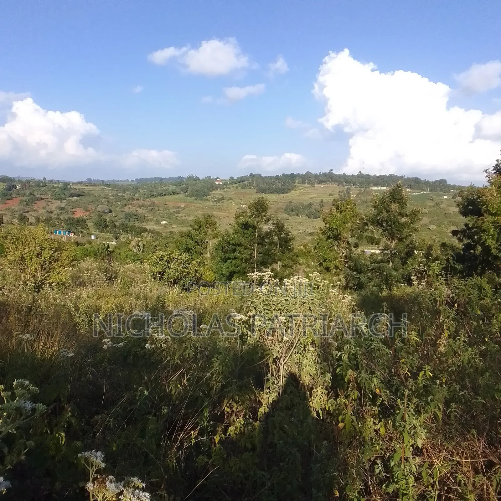 4 Acres Mua Hills Kitanga Selling at 4.5m.Per Acre in Mua Hills
