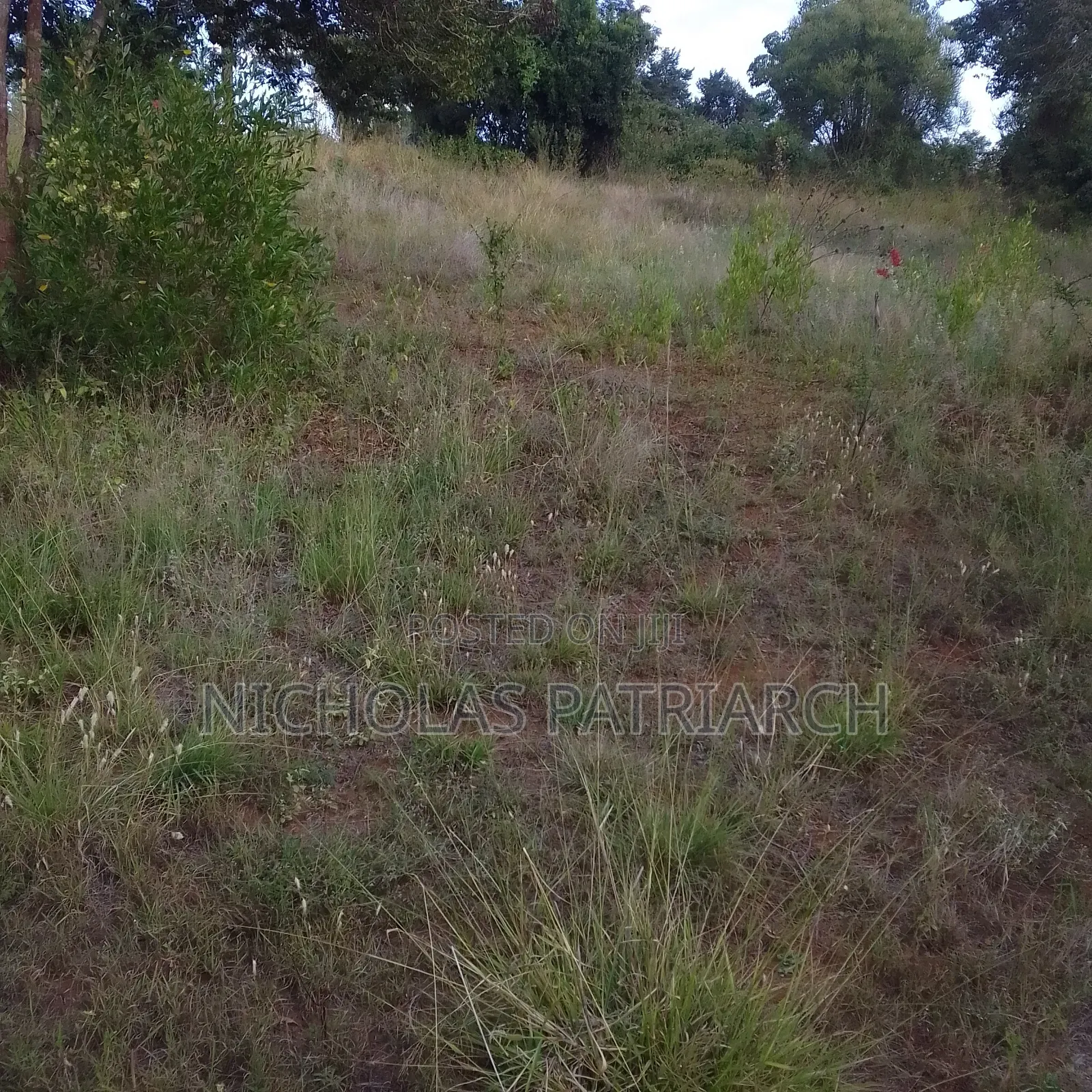 4 Acres Mua Hills Kitanga Selling at 4.5m.Per Acre in Mua Hills