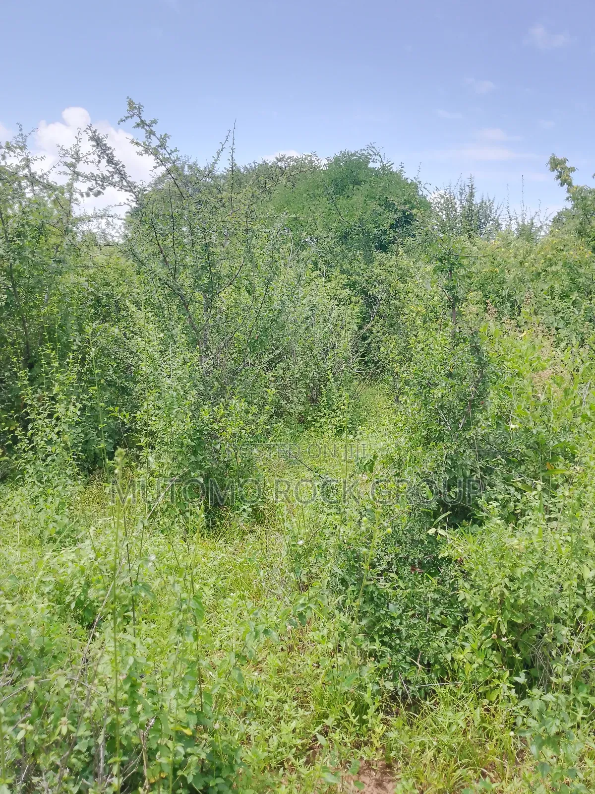 46 Acres With Title in Mutomo
