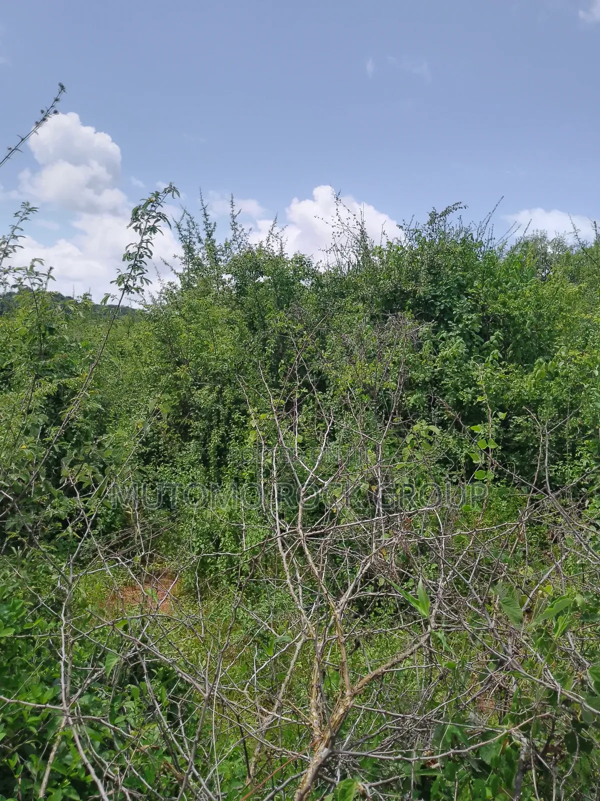 46 Acres With Title in Mutomo