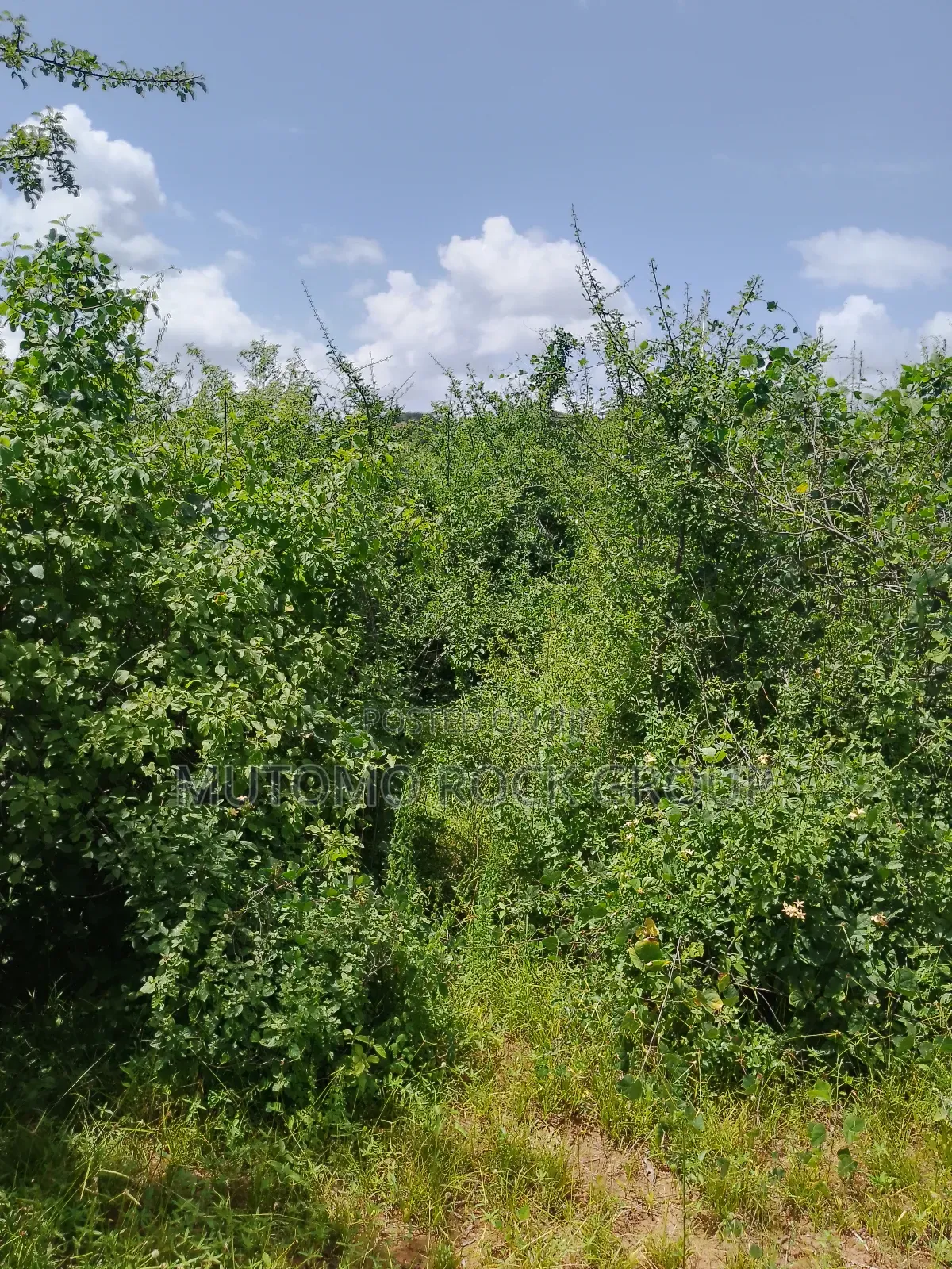 46 Acres With Title in Mutomo