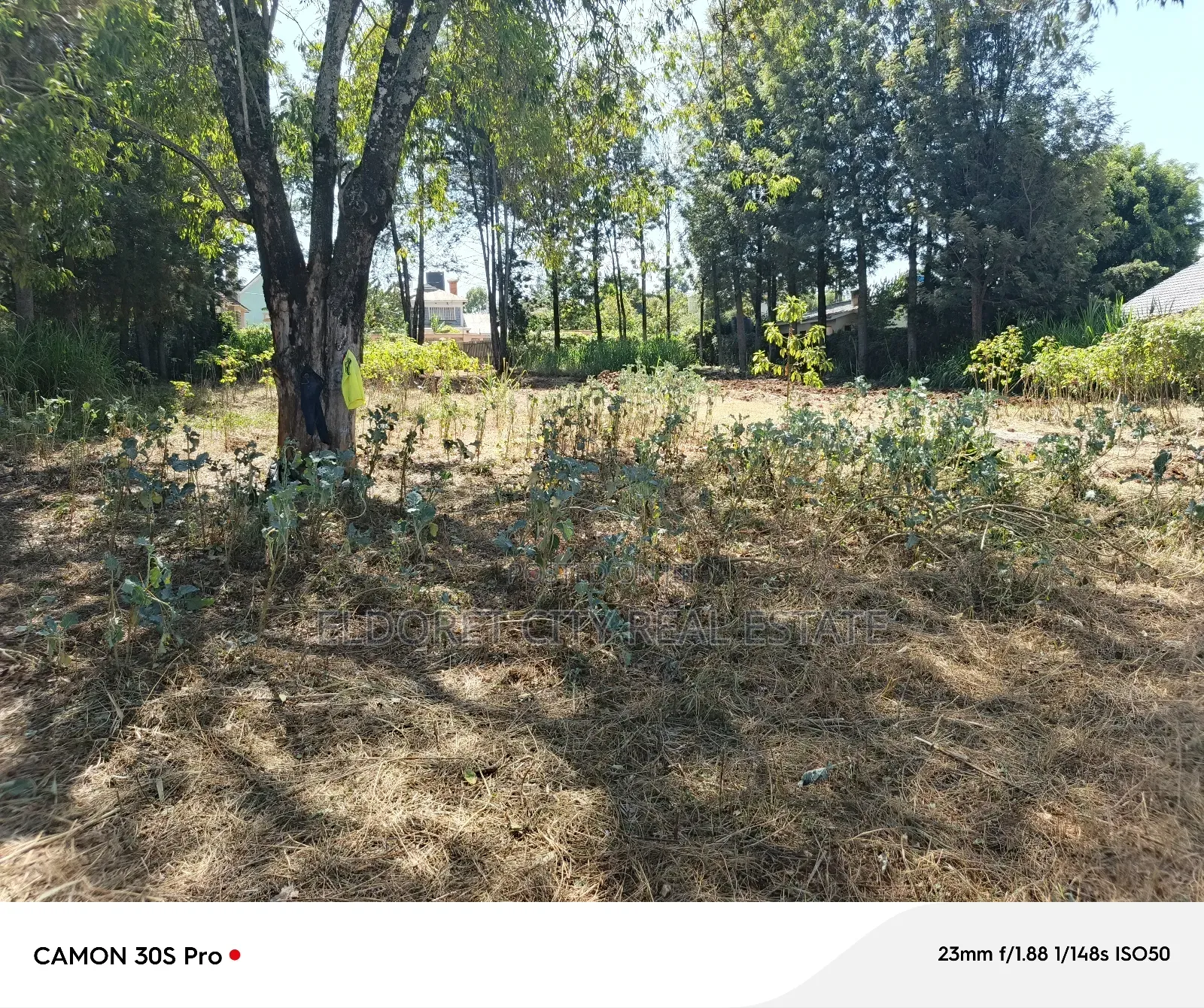 1/2 Acre Lower Elgonview With Title. in Eldoret CBD