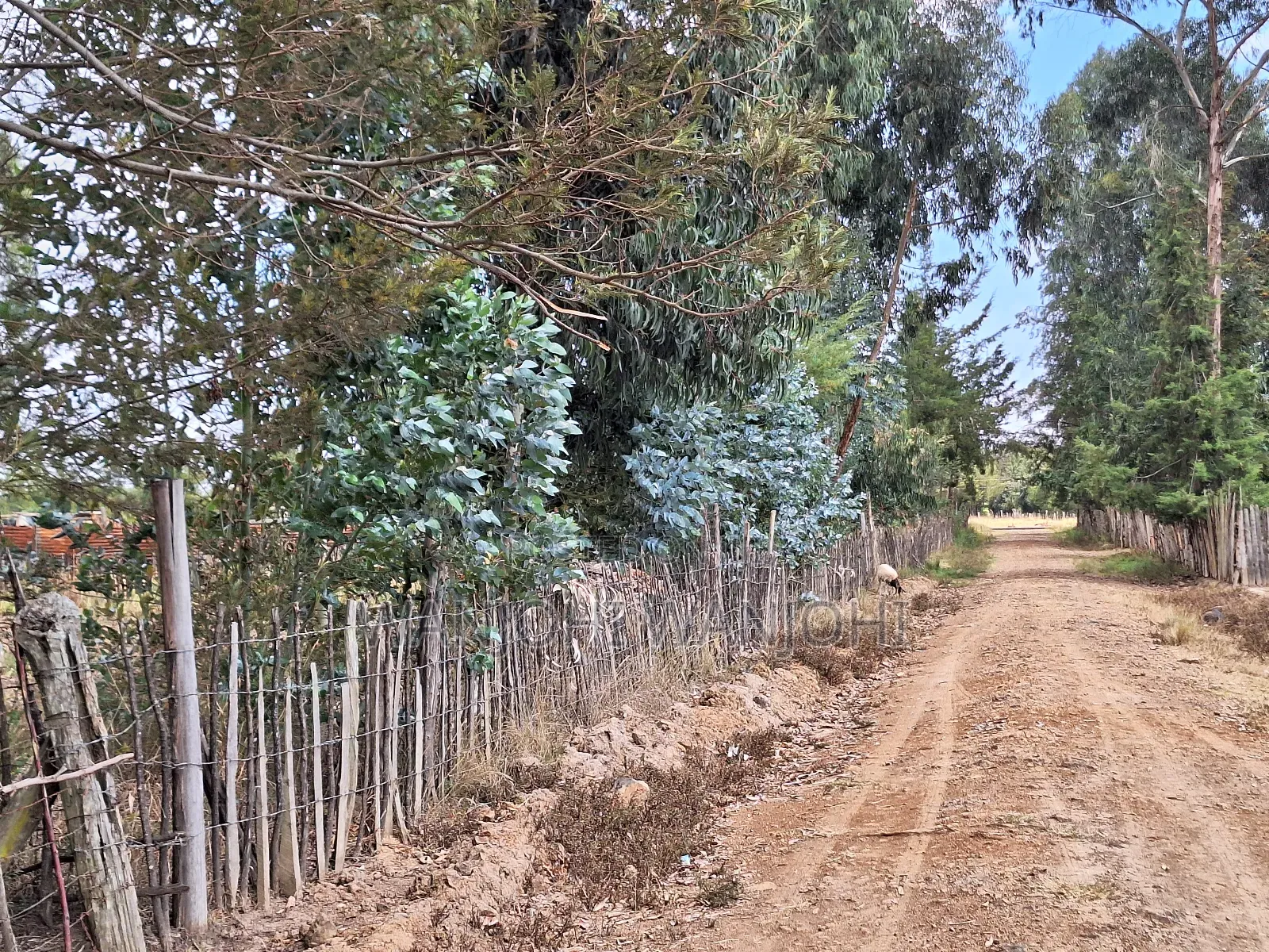 Exceptional Property Available for Purchase in Nyahururu