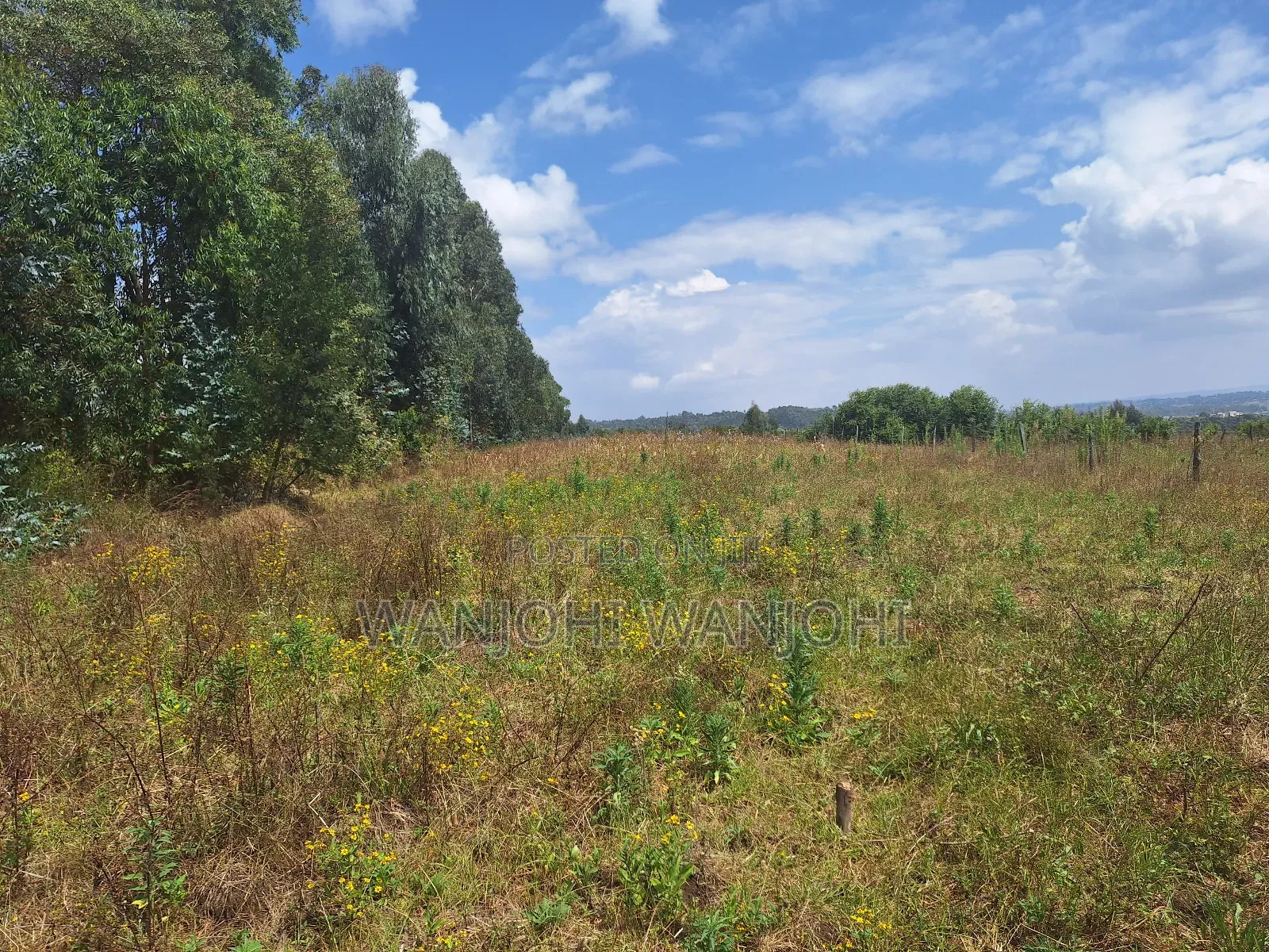 Exclusive Real Estate Listing in Karau