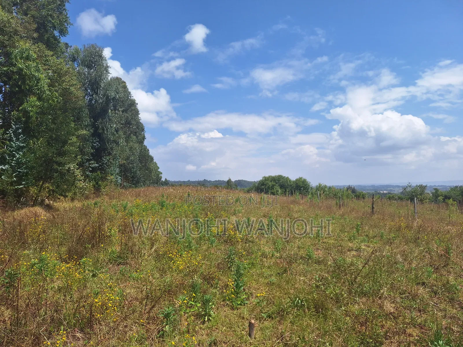 Exclusive Real Estate Listing in Karau