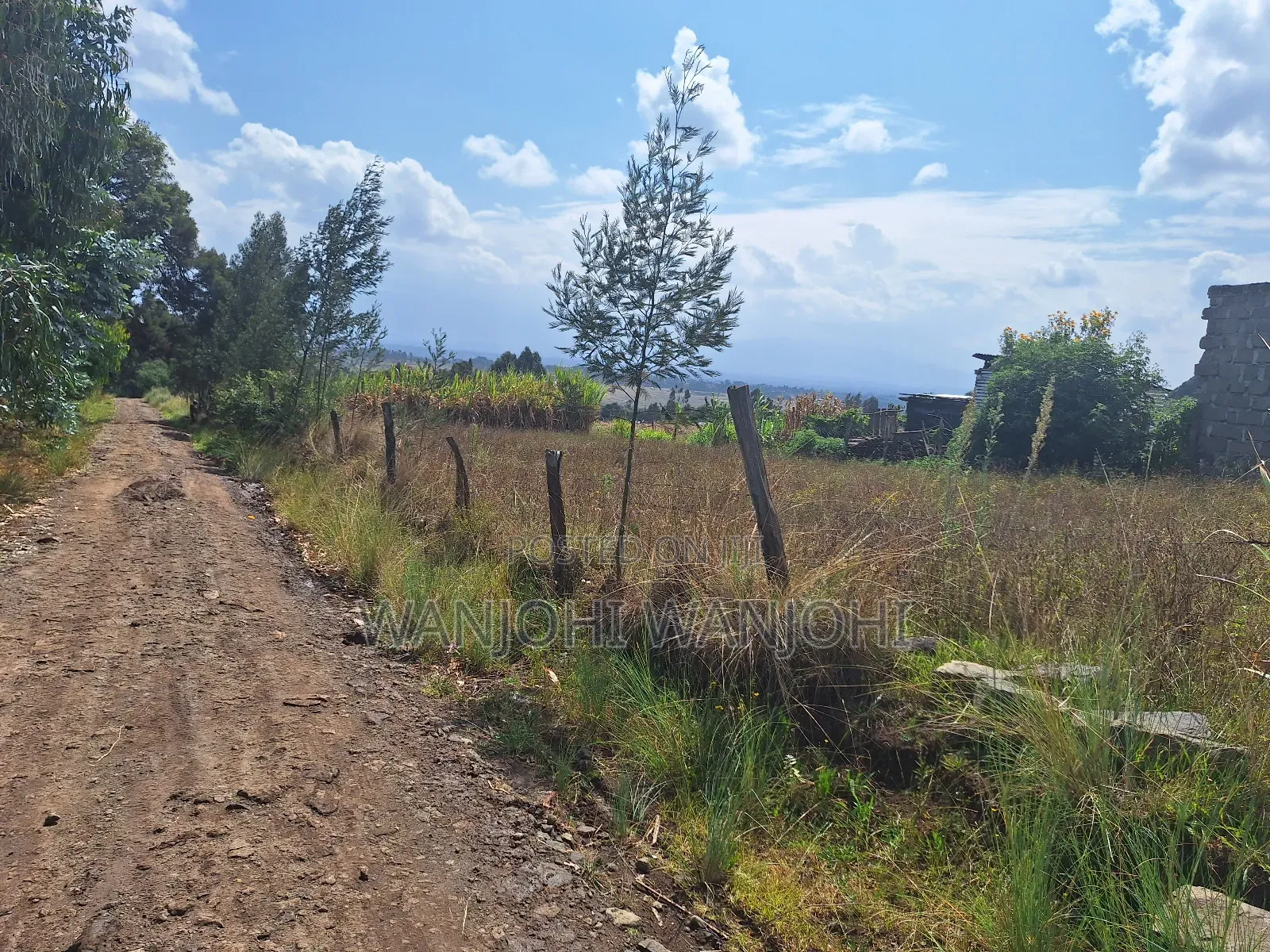 Exclusive Real Estate Listing in Karau