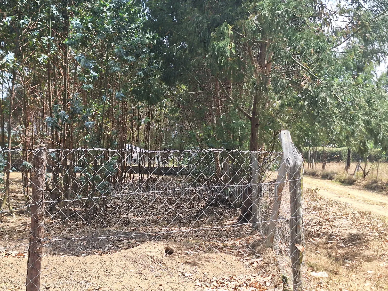 Hottest Plots in Nyandarua Currently in Nakuru Town East