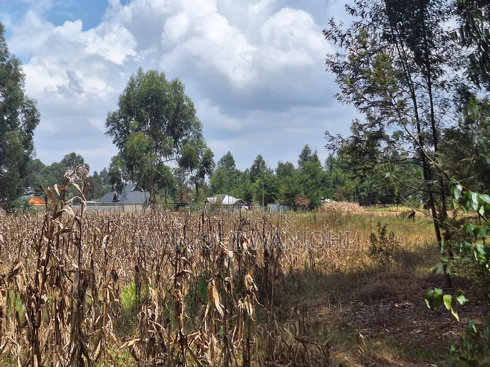 Premium Properties in Nyahururu in Nyahururu