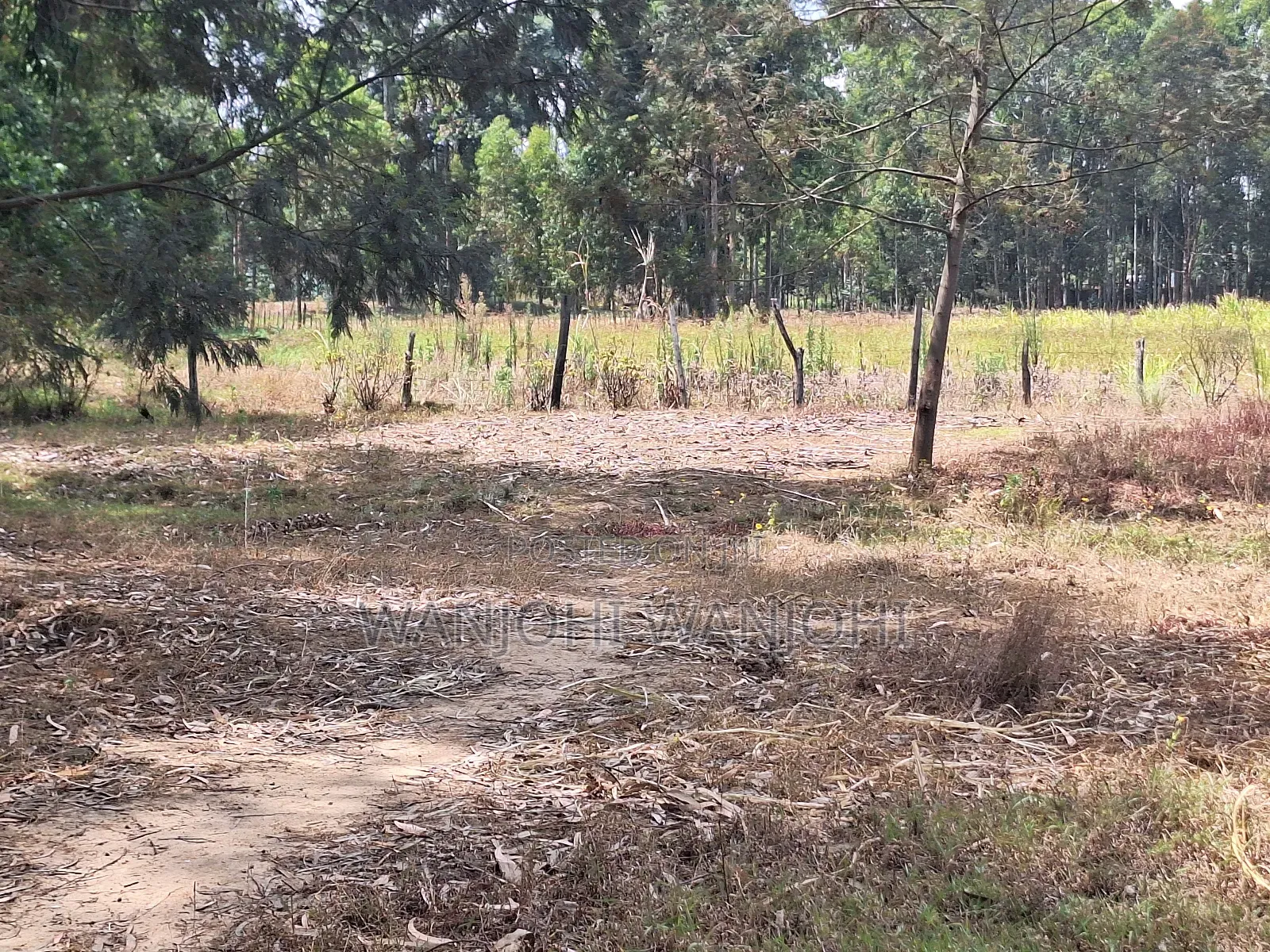 Premium Properties in Nyahururu in Nyahururu