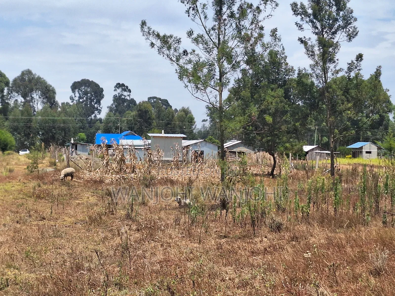Premium Properties in Nyahururu in Nyahururu